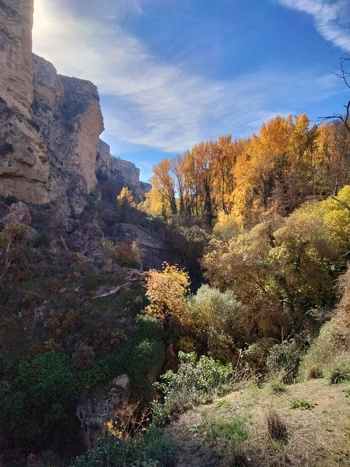 IMG20231118112625