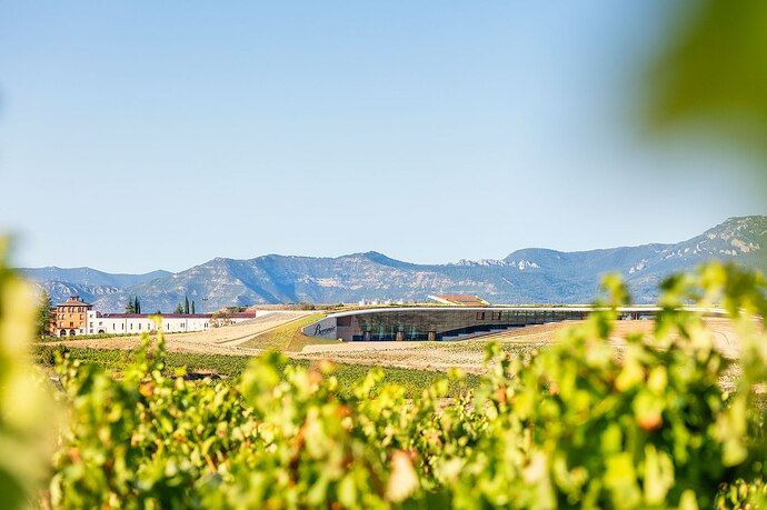 metalocus_bodega-beronia-rioja_idom_03