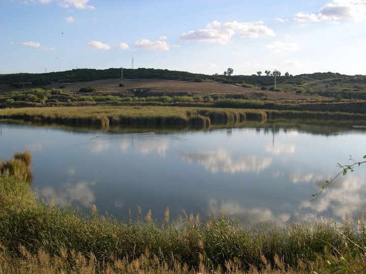 mar ontigola 1