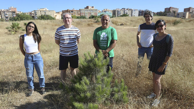 miembros-Plataforma-arboles-plantados_1698140712_161776900_667x375