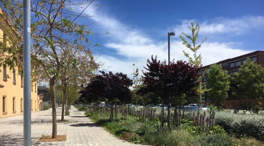 Raingarden-in-the-City-of-Barcelona-managed-by-BCASA-source-author-photo