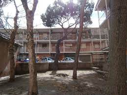images (1)